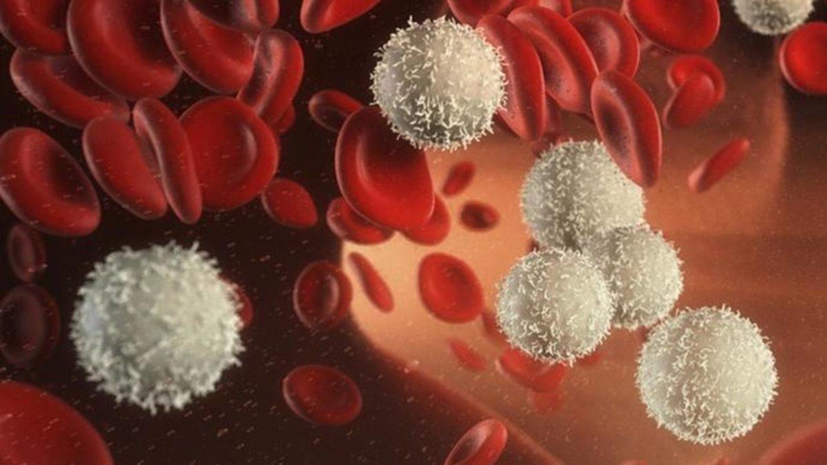 Farklı Kan Grubu Sahipleri Neden Birbirlerine Kan Veremez?