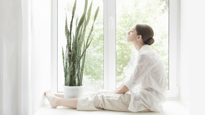 NASA, Yatak Odanızda Bulundurmanız Gereken Bitkileri Açıkladı!