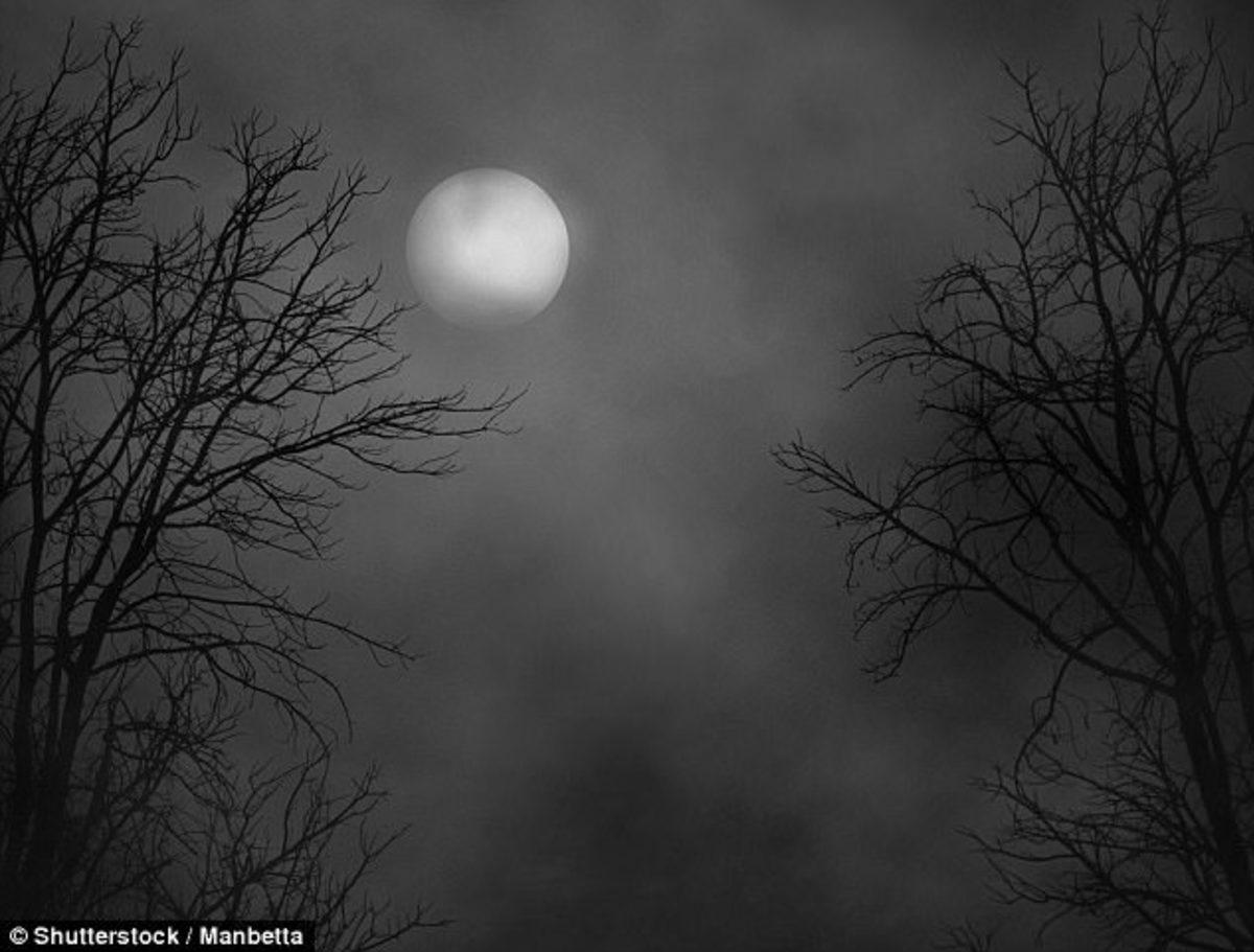 İnsanlar İçin Korku Hikayeleri Yazan Yapay Zeka Shelley’le Tanışın