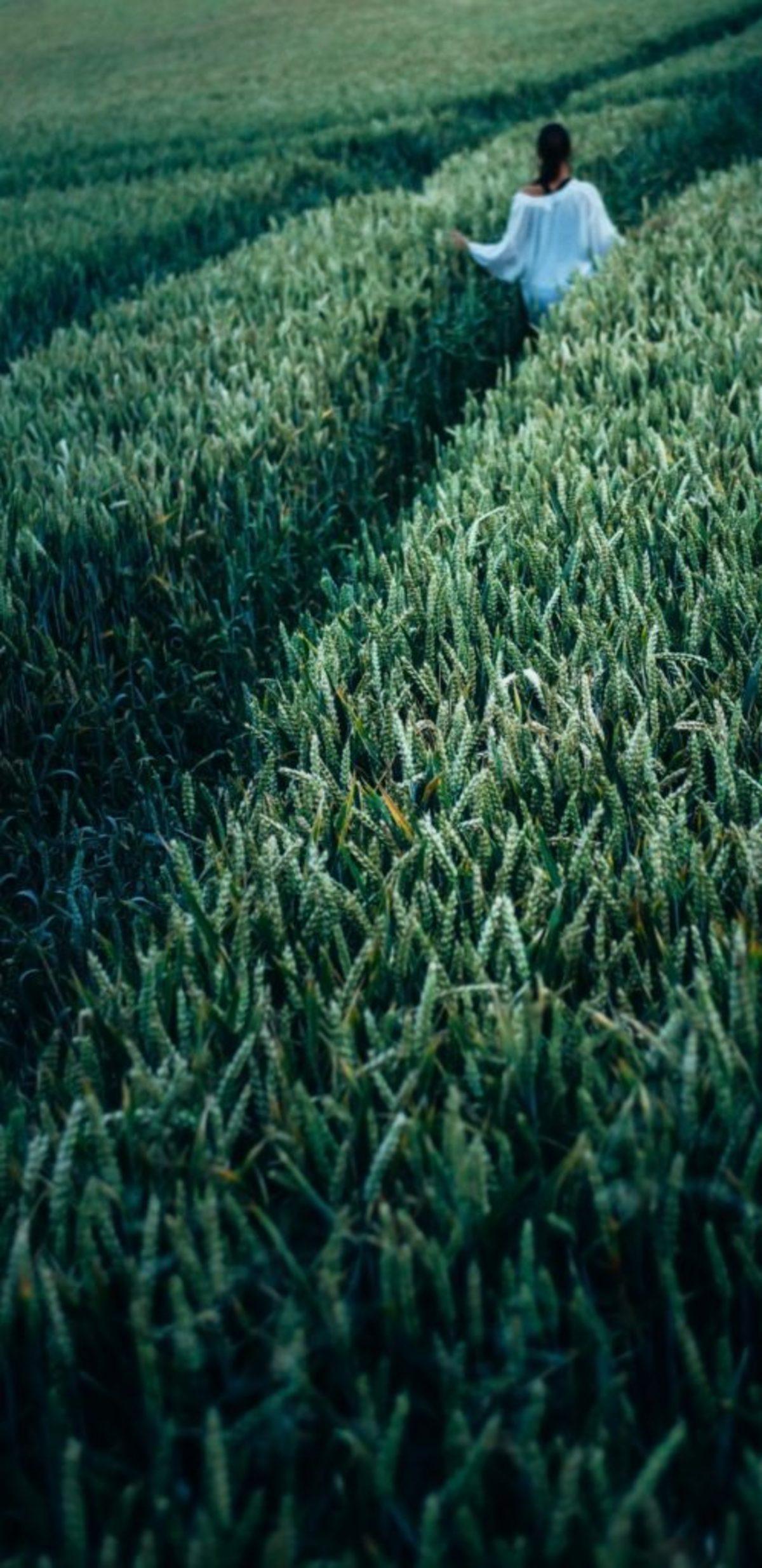 Galaxy S8’in 38 Adet Duvar Kağıdını Şimdi iPhone ve PC’nizde Kullanın!