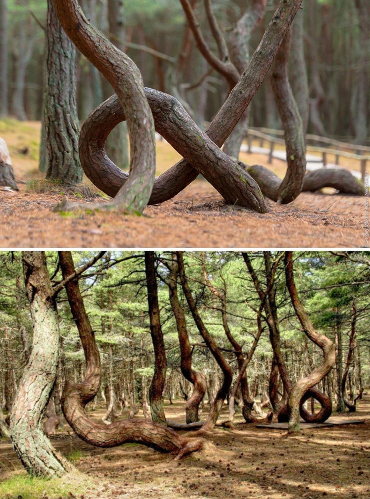 Dünya’nın Hala Şaşırtıcı Bir Yer Olduğunu İspatlayan 15 Gizemli Doğa Olayı!