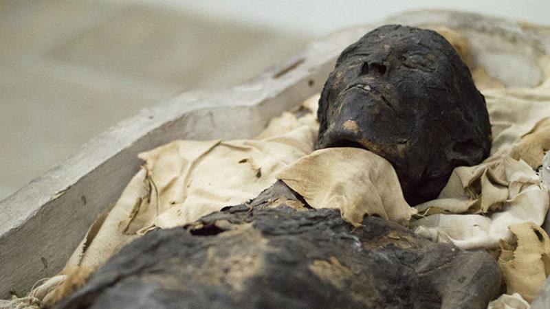 Antik Mısır’da Bulunmasına Rağmen Günümüzde Hala Kullanılan 10 Tedavi Yöntemi!