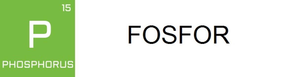 Tüm Öğrencilere Armağanımız Olsun: Periyodik Tablodaki Tüm Elementlerin Günlük Hayatımızdaki Kullanım Alanları!