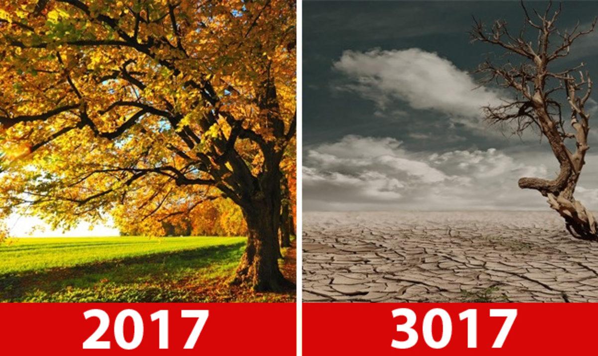 1000 Yıl Sonra Dünya, Yaşam ve İnsanlık Nasıl Olacak?