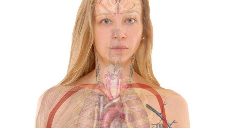 İnsan Eti Karın Doyuracak Kadar Besleyici mi?