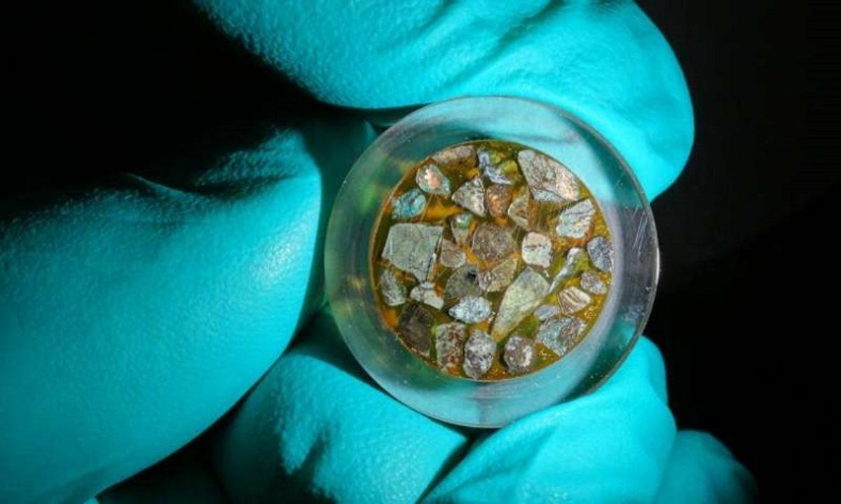 Okyanusların En Derin Noktası Mariana Çukuru’nda Hayat Var!