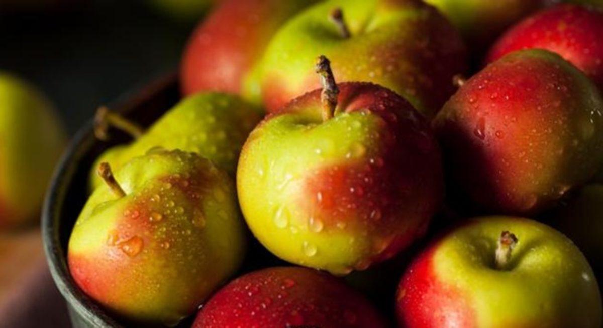 Sarımsak Yedikten Sonra Kokusundan Nasıl Kurtuluruz?