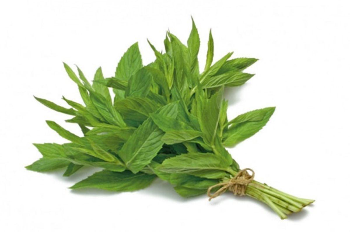 Sarımsak Yedikten Sonra Kokusundan Nasıl Kurtuluruz?