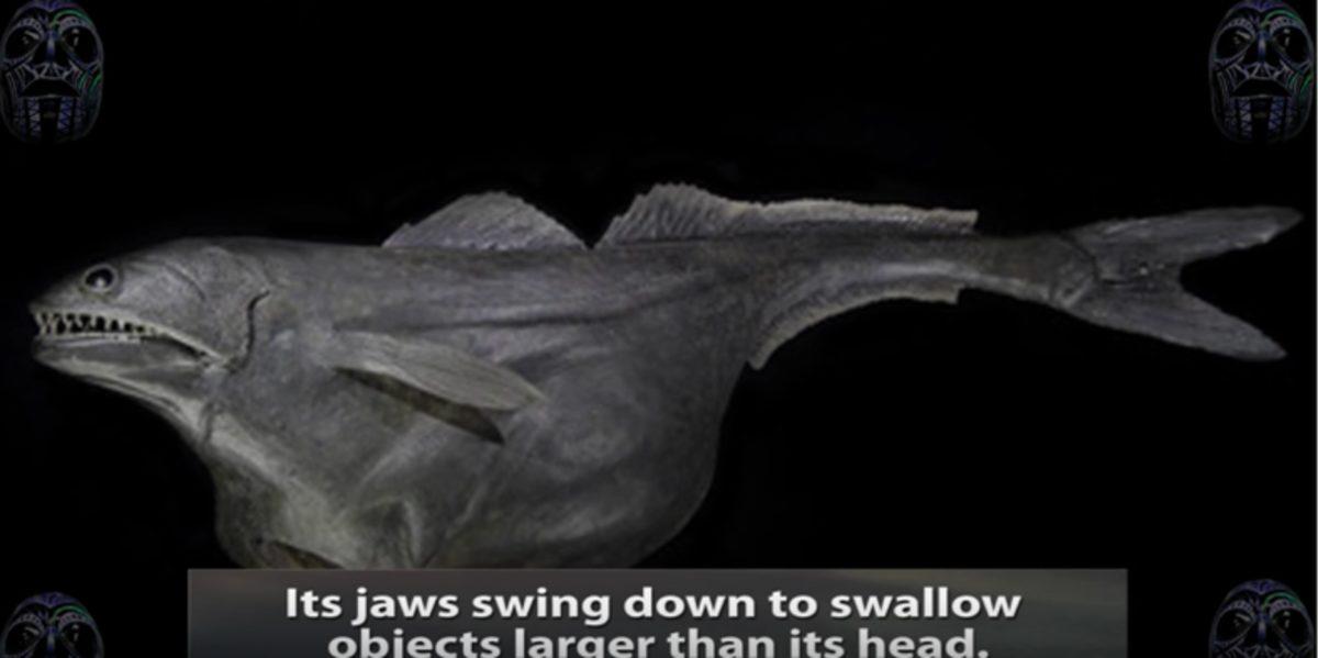 İşte Karşınızda 10 Korkunç Deniz Canlısı!