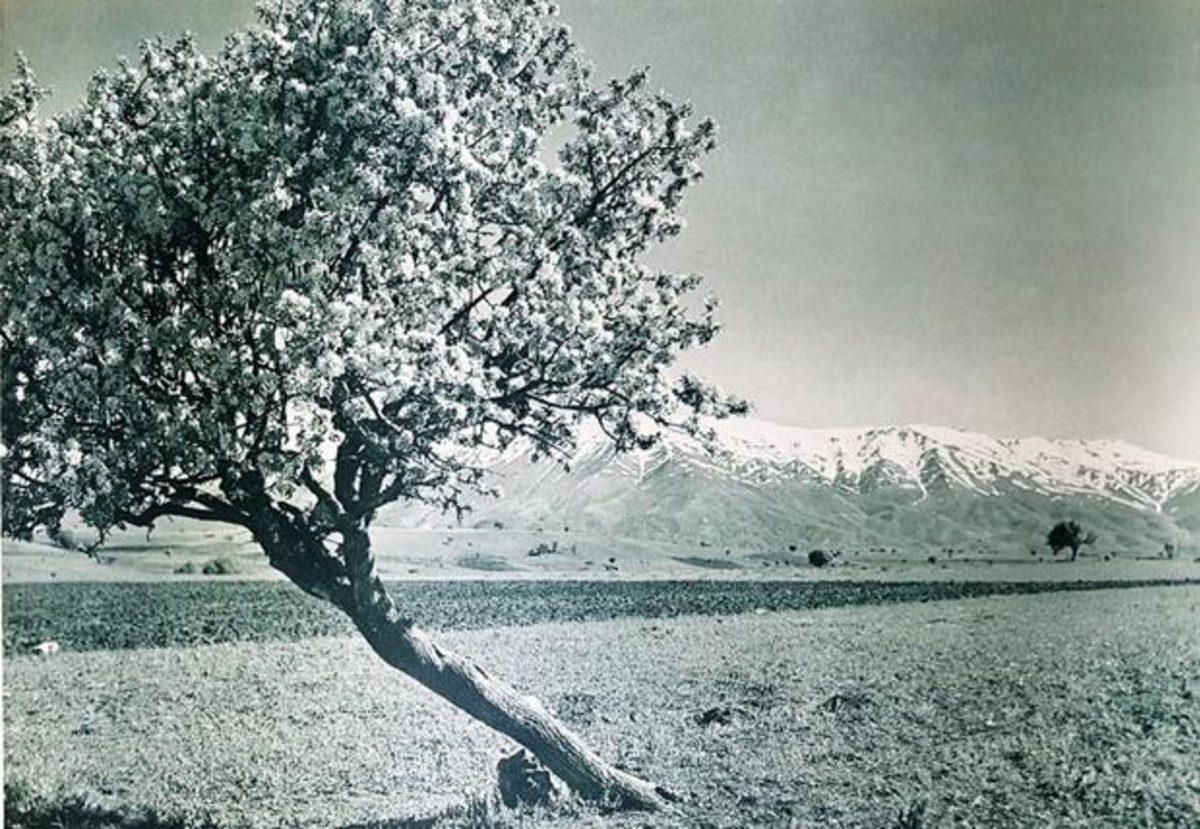 Atatürk’ün Türkiye’yi Dünyaya Tanıtmak İçin 1936 Yılında Çektirdiği 20 Fotoğraf