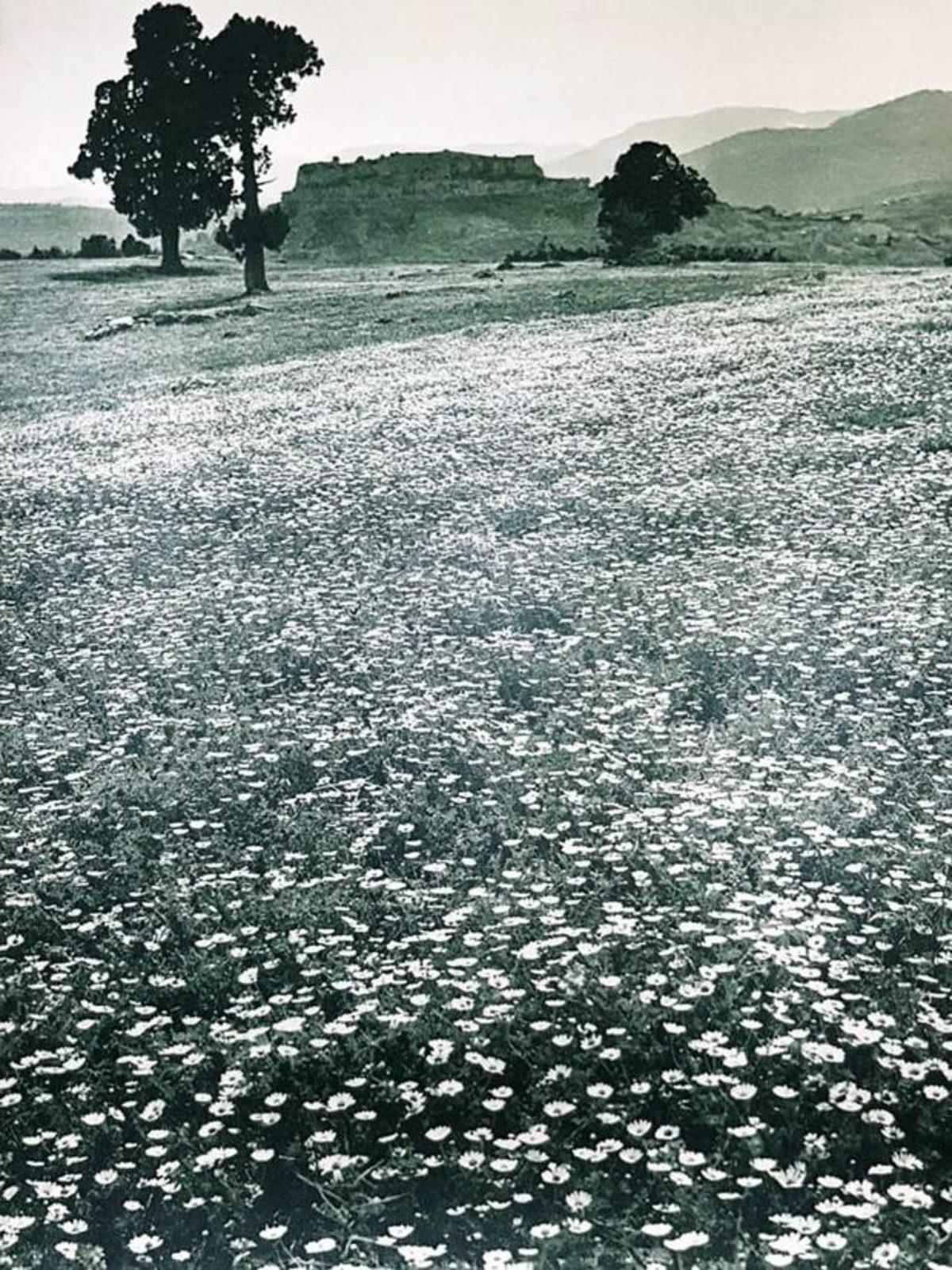 Atatürk’ün Türkiye’yi Dünyaya Tanıtmak İçin 1936 Yılında Çektirdiği 20 Fotoğraf
