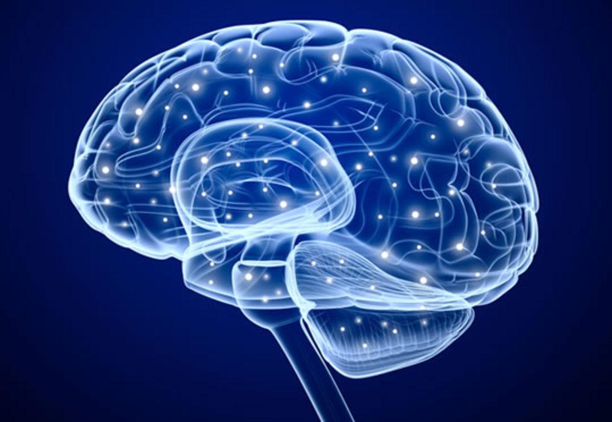 İnsan Vücudunun Hayrete Düşüren 42 Özelliği