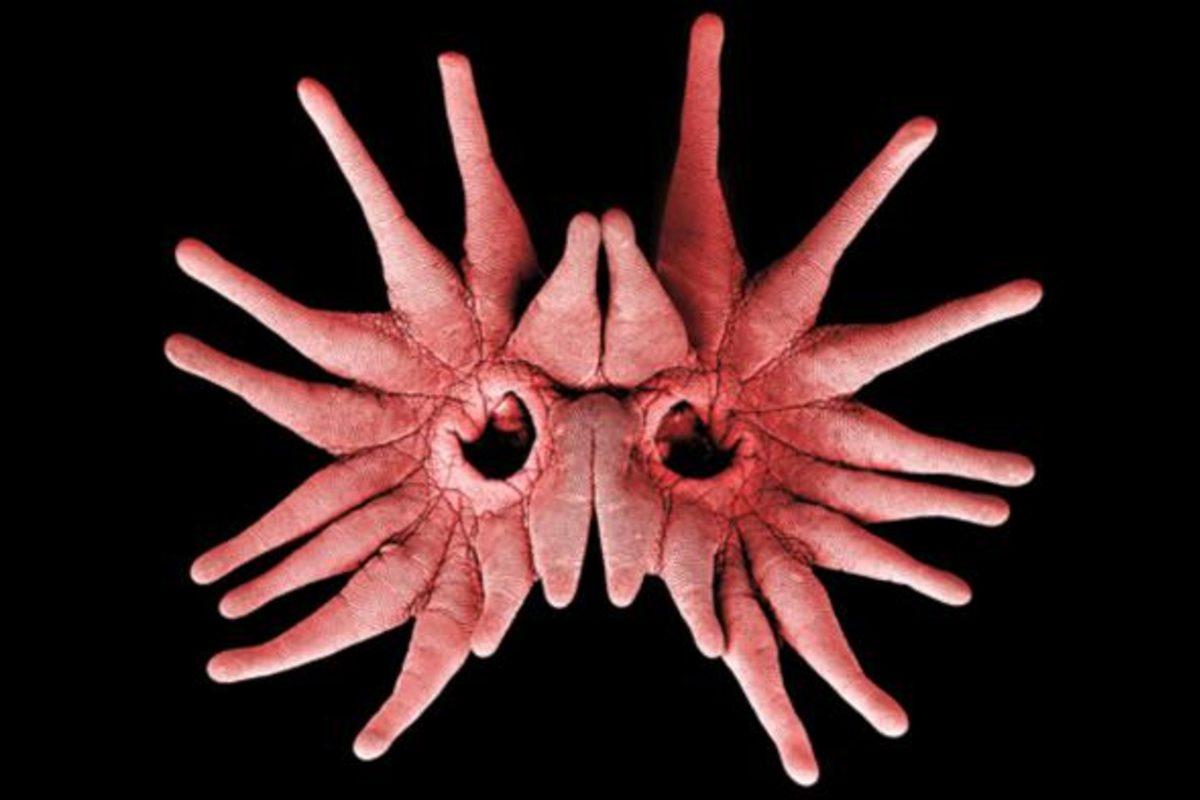 Avını Çeyrek Saniyede Midesine İndiren Dünyanın En Hızlı Yiyen Etçili: ’Yıldız Burunlu’ Köstebek