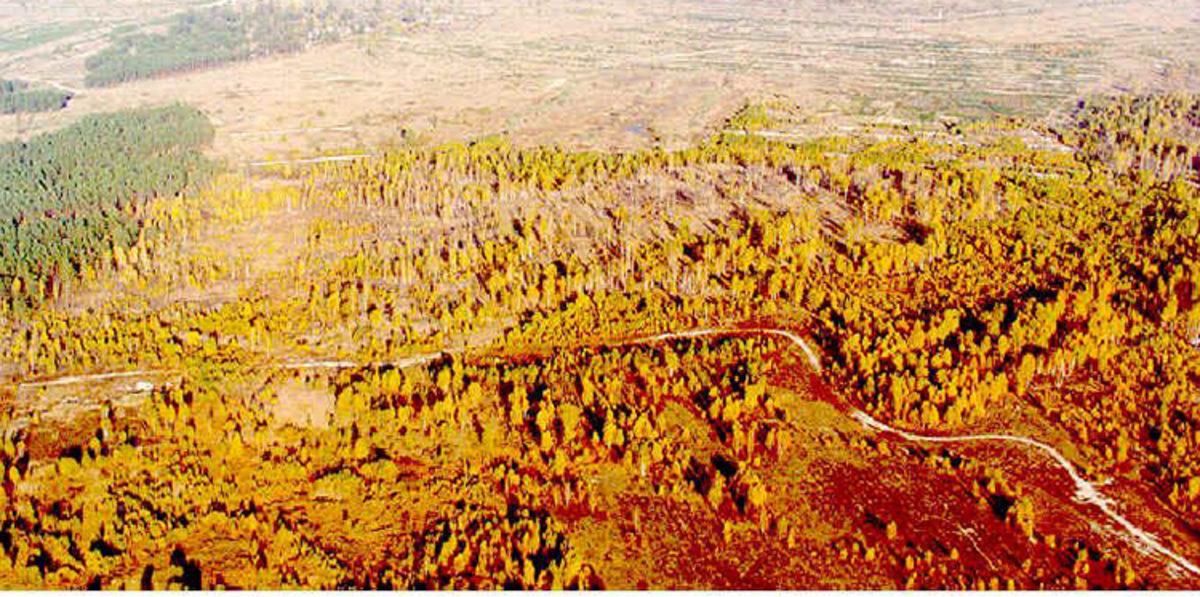 31. Yılında Çernobil Faciasının Daha Önce Görmediğiniz Çarpıcı Fotoğrafları!