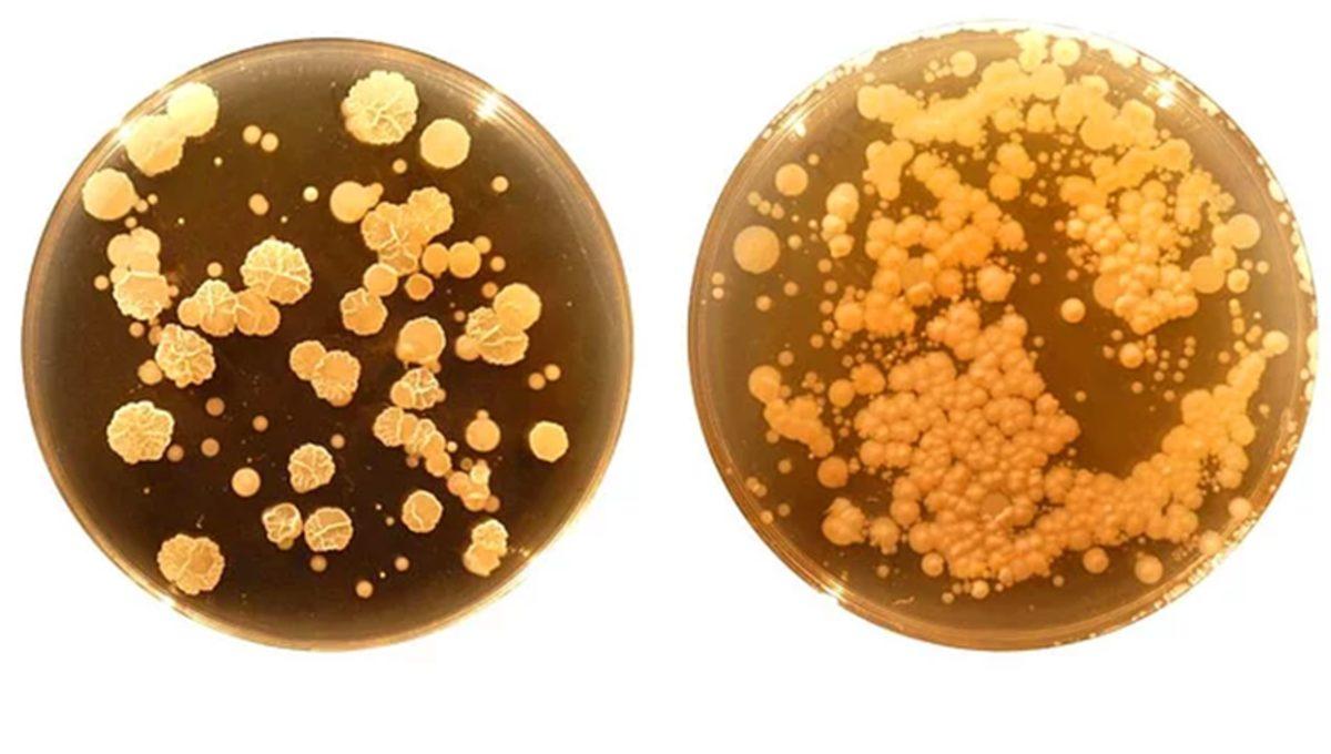 Vücudumuzun En Kirli Noktasının Neresi Olduğunu Biliyor muydunuz?