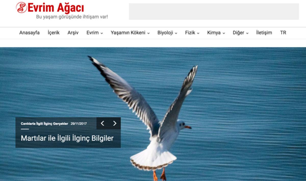 Bilimle İlgilenenlere Bilimi Daha da Sevdirecek 5 Web Sitesi