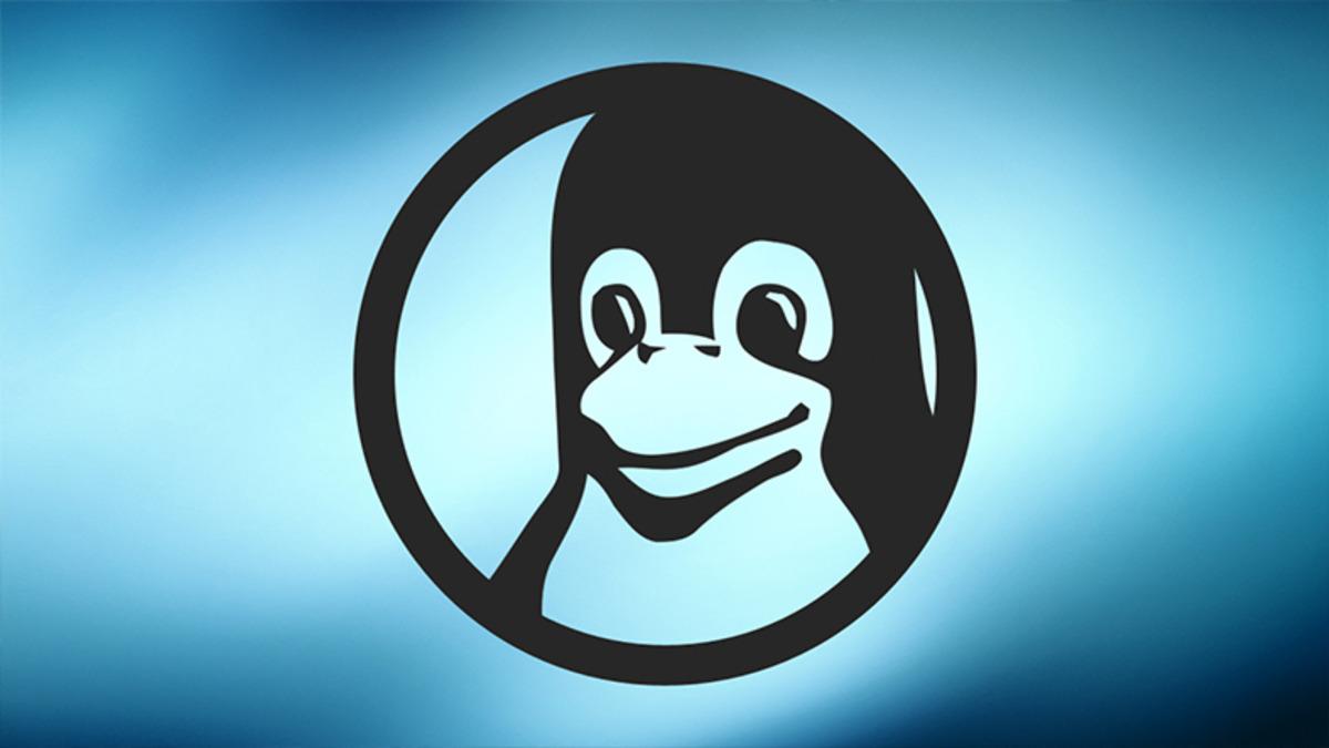 Benim İçin Güvenlik Her Şeyden Önemli Diyenlere: En Güvenli 5 Linux İşletim Sistemi!