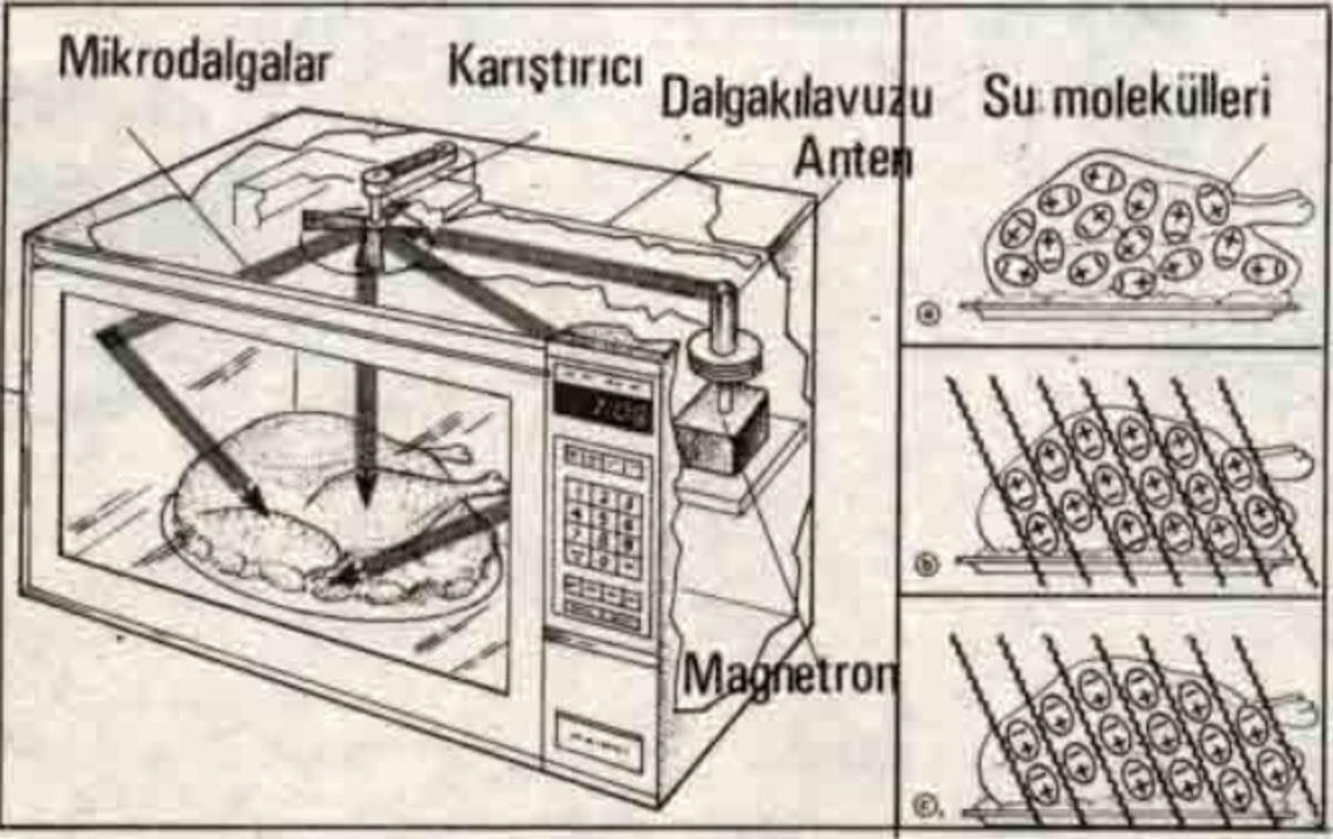 Mikrodalga Fırında Neden Haşlanmış Yumurta Isıtılmamalı?