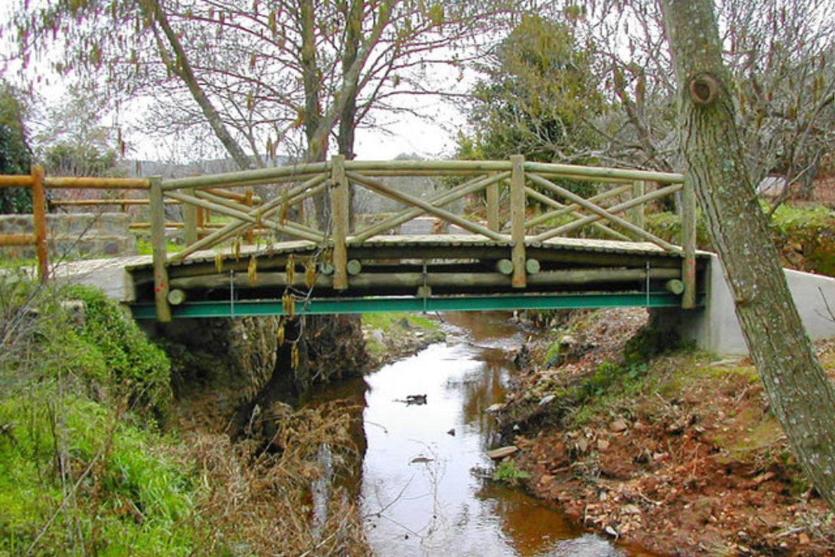 Dünyanın En Kısa Uluslararası Köprüsü ile Tanışın!