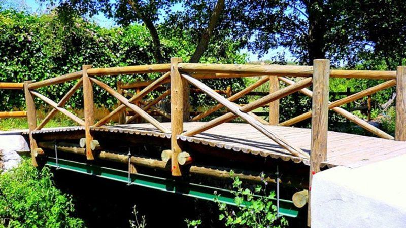 Dünyanın En Kısa Uluslararası Köprüsü ile Tanışın!