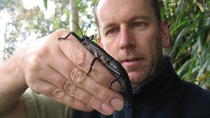 Soyu Tükendiği Düşünülürken Kameralara Yakalanmış 10 Hayvan