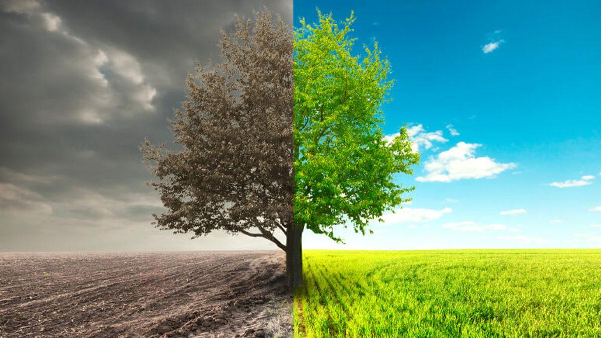 Türkiye’nin Onayladığı Paris İklim Anlaşması Nedir ve Neden Bu Kadar Önemli?