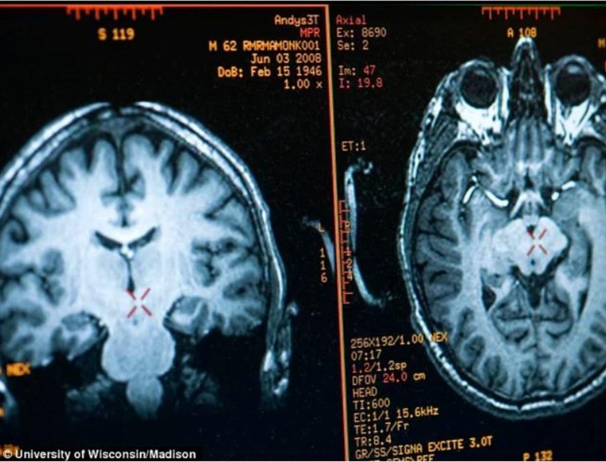 Bu Gördüğünüz Budist, Bilime Göre Dünyanın En Mutlu İnsanı Olabilir
