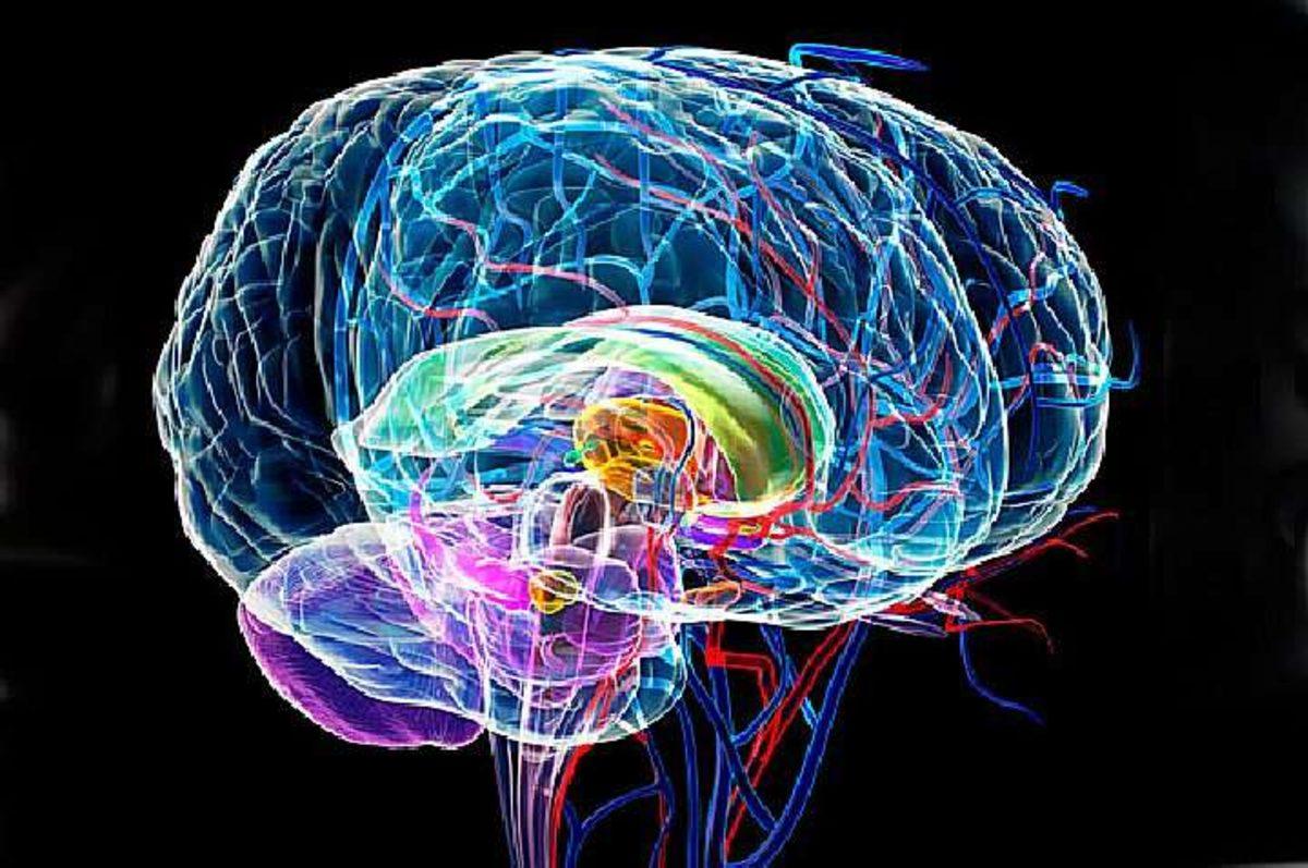 Bilim Açıklıyor: Öldükten Sonra Beynimizde Neler Dönüyor?